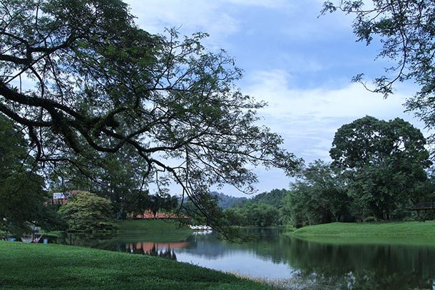 Taiping Lake Garden