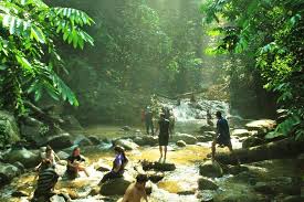 jungle trekking